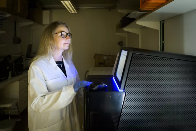 Photograph of a diabetes researcher in the lab.