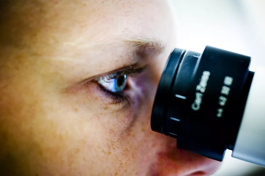 Detail image of a researcher.